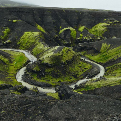 Previous image